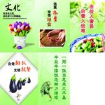 餐厅文化