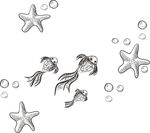 金鱼海五星素描