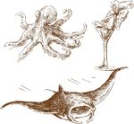 饮品 海洋生物素描