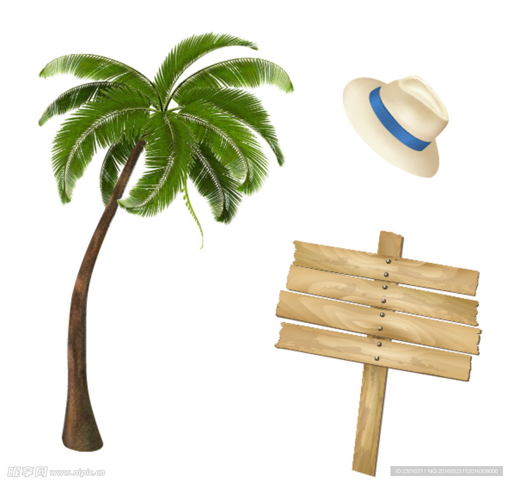 木牌 椰子树 帽子