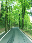 衡山的山路