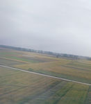 麦田