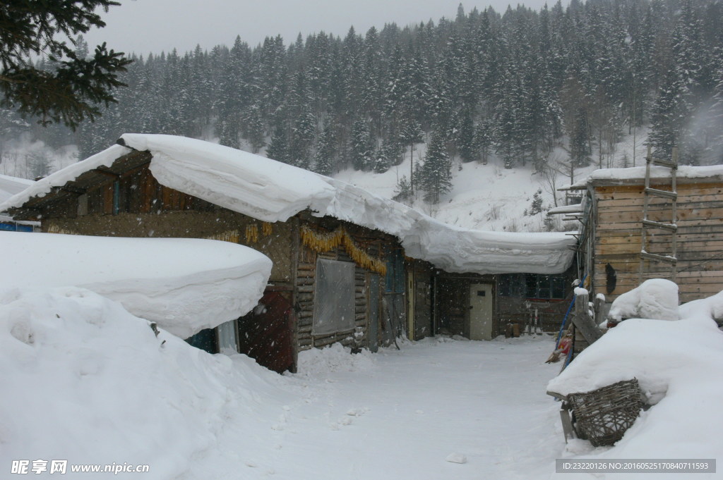 雪乡风情