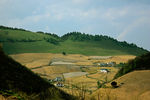 田园风光