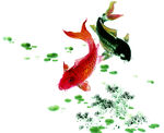 中国风鲤鱼