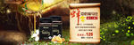 蜂蜜海报banner