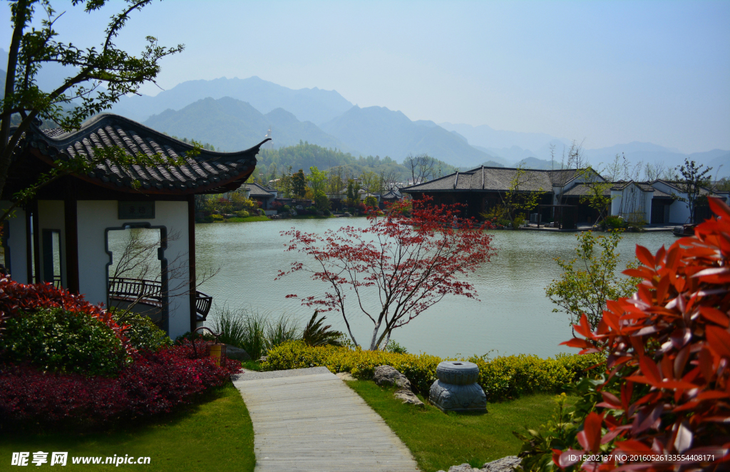 庭院风景