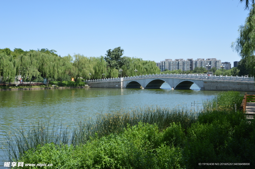 陶然亭美景