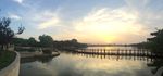 夕阳
