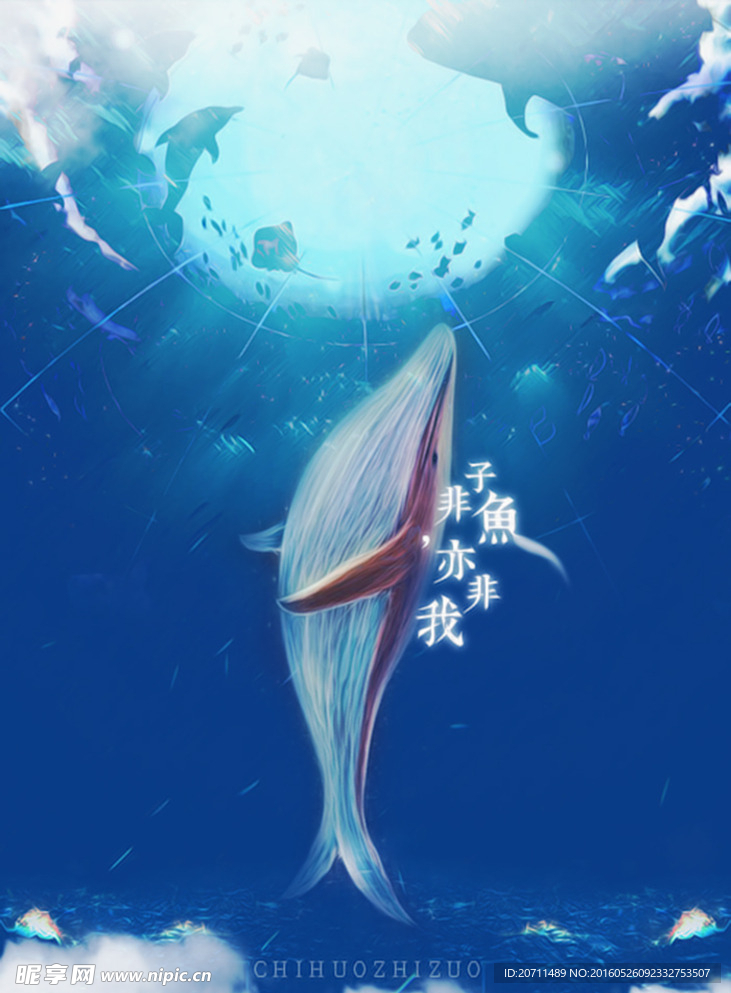 清新鲸鱼海报