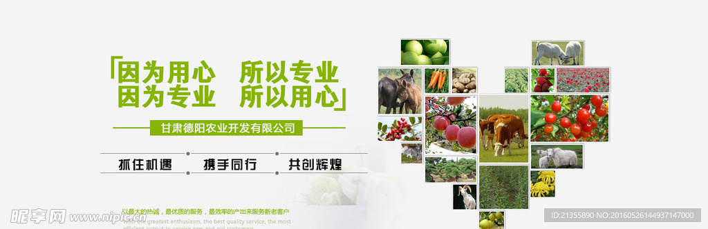 农业网站设计