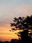 傍晚夕阳