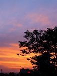 傍晚夕阳