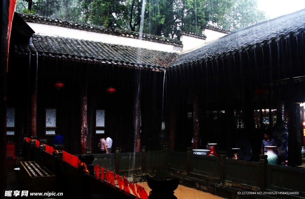 雨中天井