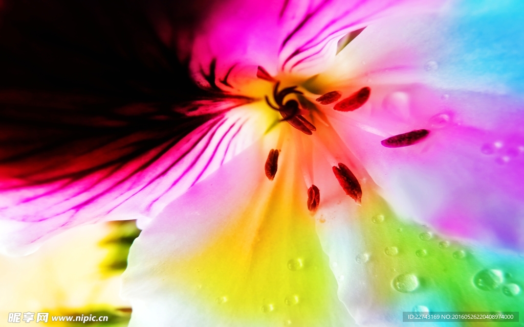 花蕊