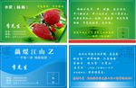 会员卡 vip贵宾卡 名片卡片