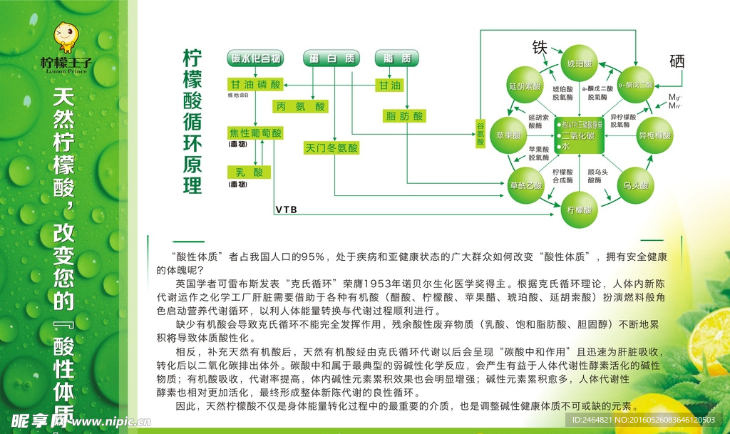 柠檬的药用价值80cmx50c