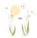 手绘水仙花蜜蜂插画