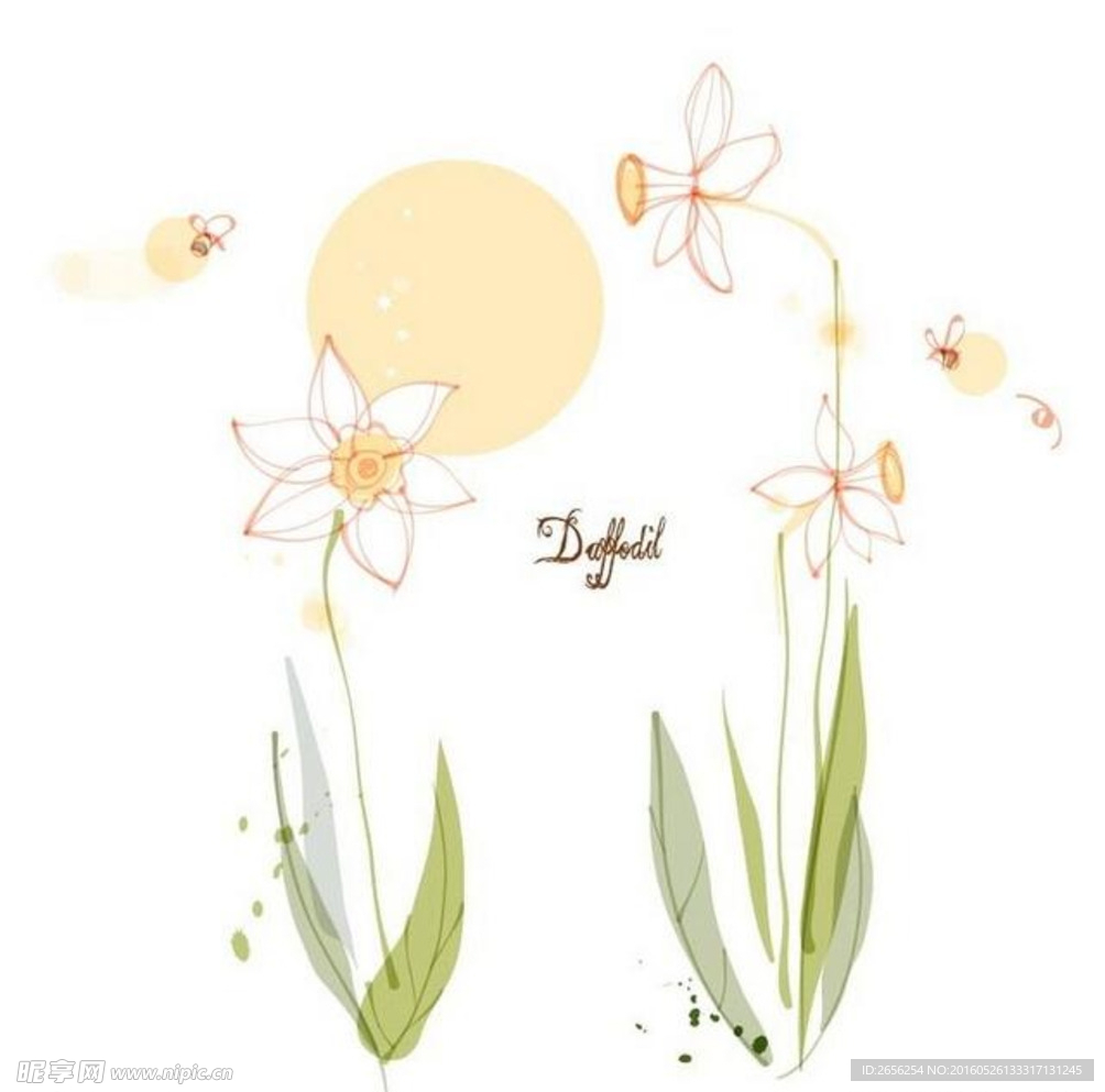 手绘水仙花蜜蜂插画