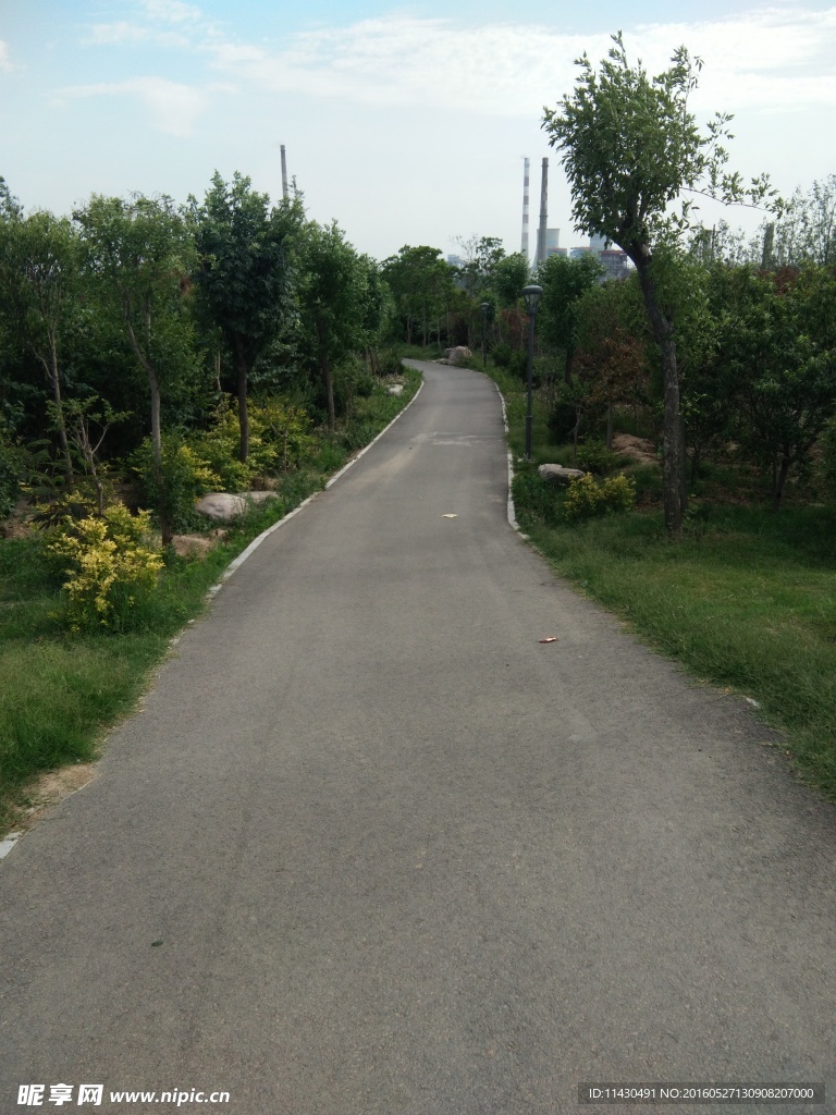 道路 绿地