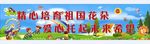 六一