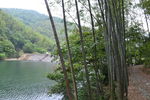 桃花岭古道