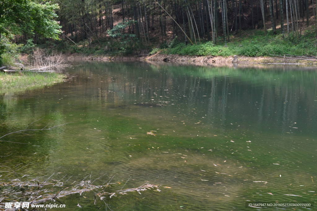 桃花岭古道