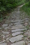 桃花岭古道