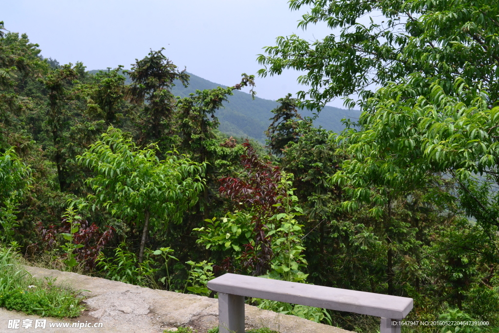 桃花岭古道