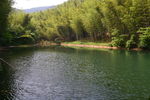 桃花岭古道