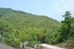 桃花岭古道