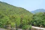桃花岭古道