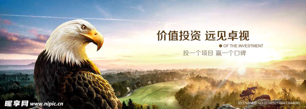 投资网站banner