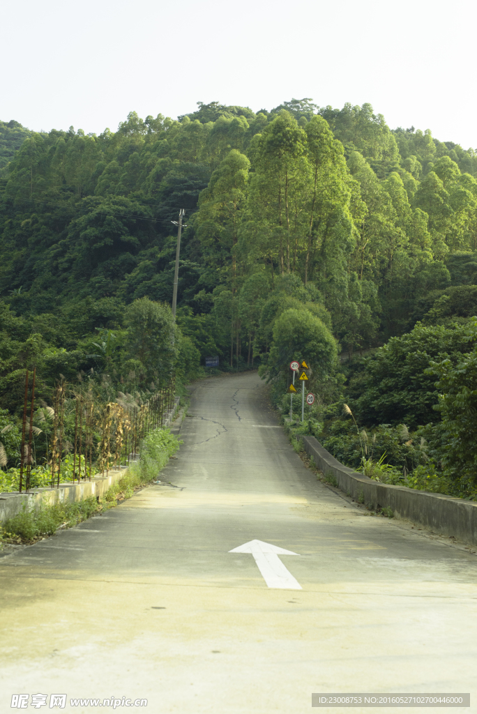 森林山路摄影