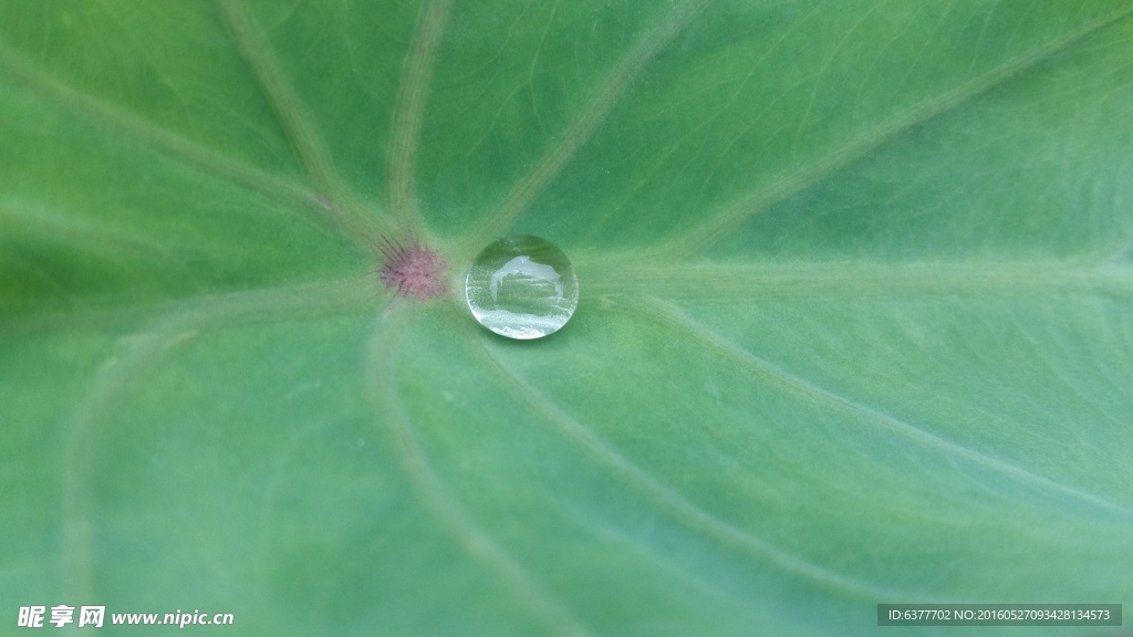 水滴