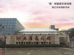 玫瑰金字体设计