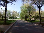 辽宁大学
