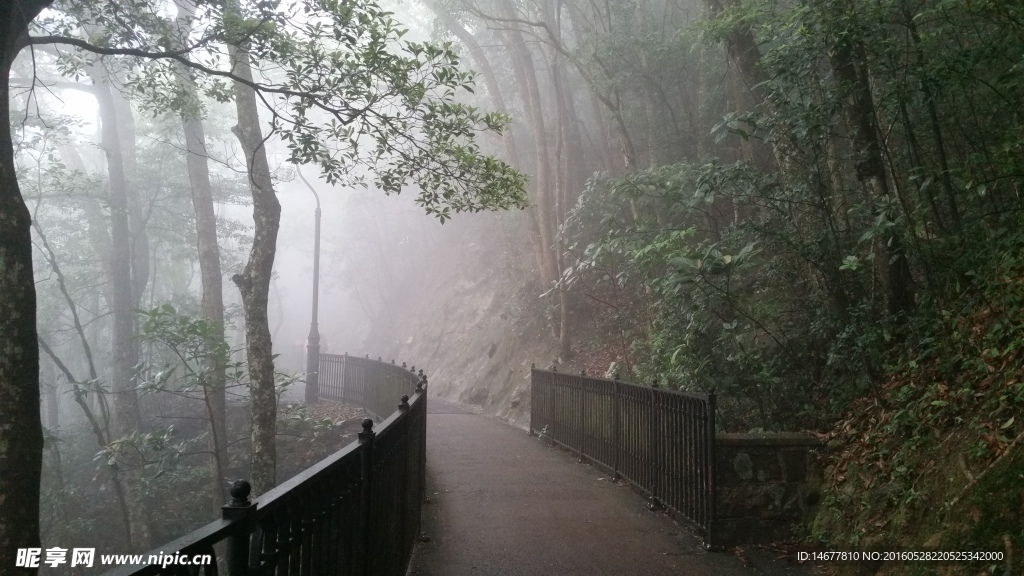 太平山小路