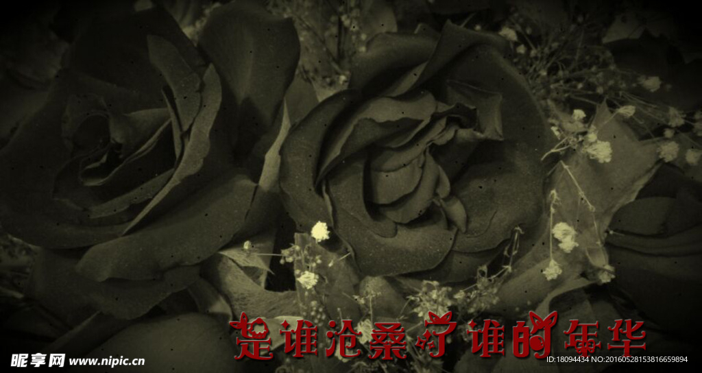 玫瑰