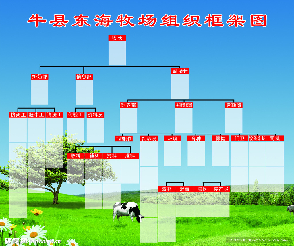 牛县东海牧场组织框架图