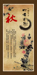 四季养生 图片