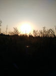 夕阳