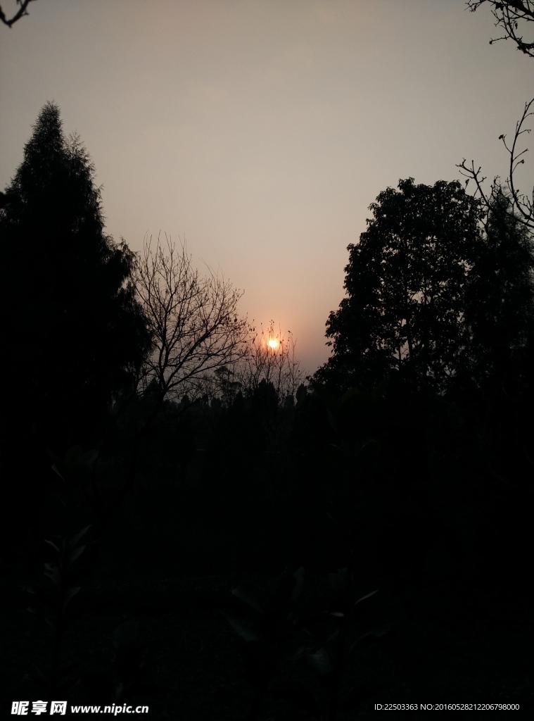 夕阳