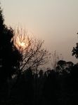 夕阳