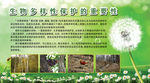 保护生物的重要性