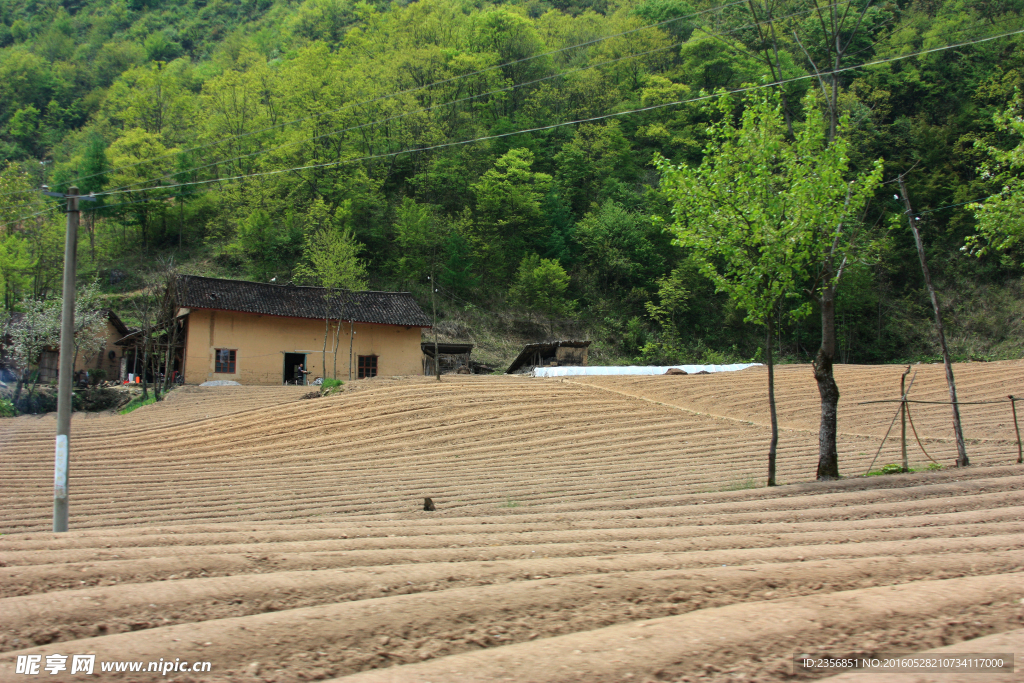 乡村风景