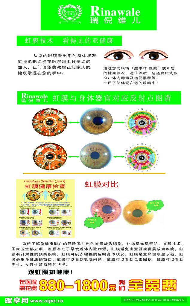 康婷瑞倪维儿展架