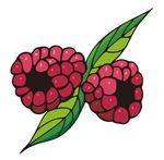 山莓