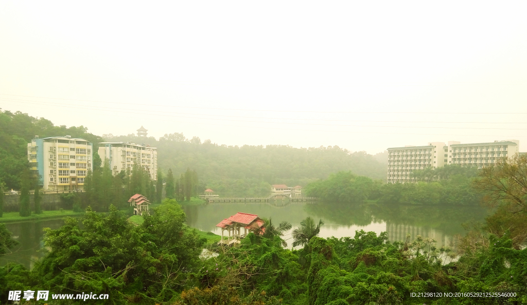 东丽湖
