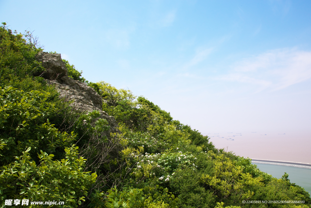 绿色山坡